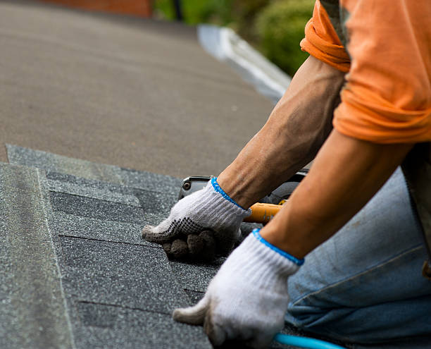 Best Green or Eco-Friendly Roofing Solutions  in USA